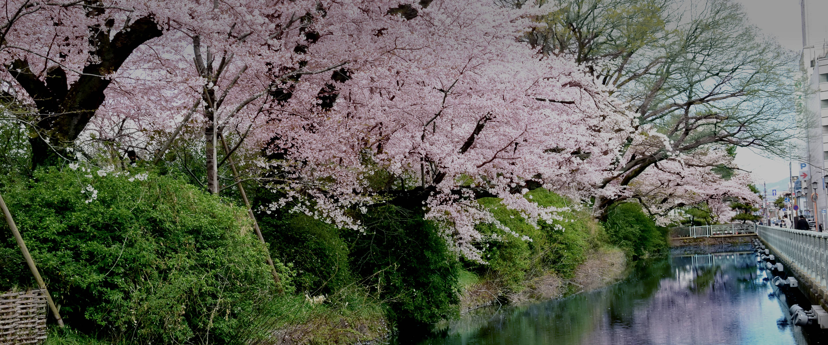 高崎城址