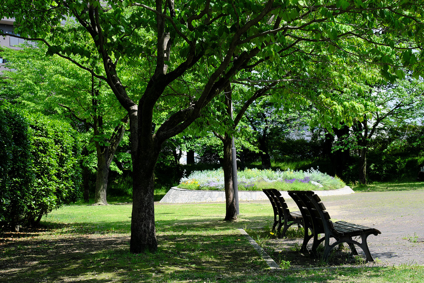 高崎城趾公園