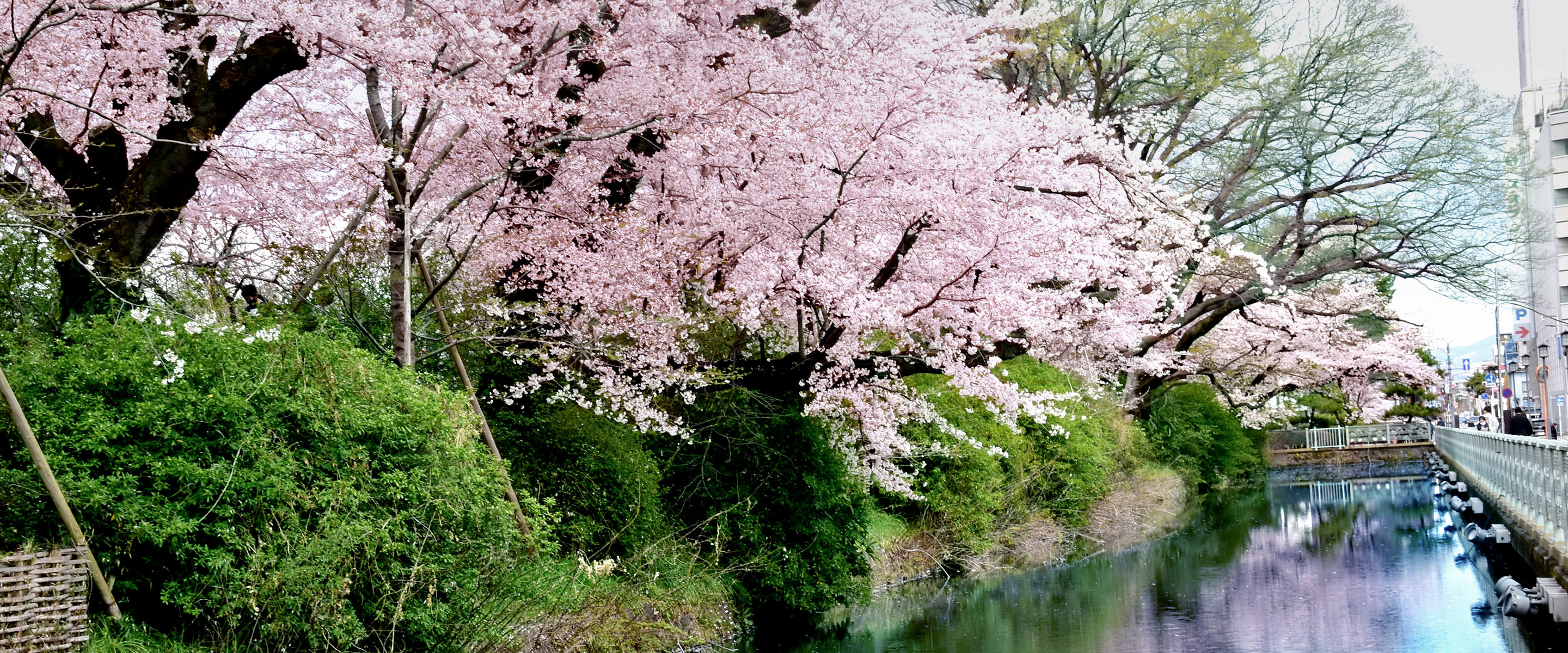 高崎城址