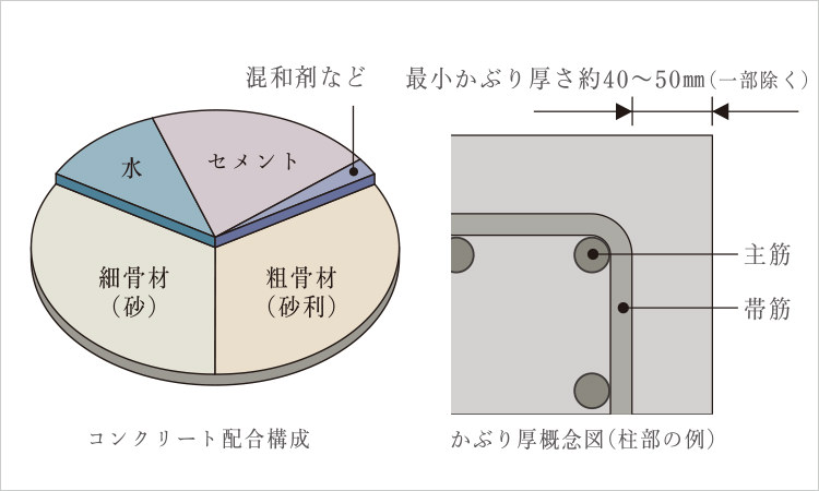 水セメント比/鉄筋のかぶり厚さ