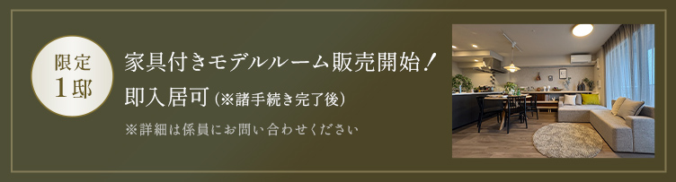 限定1邸 家具付きモデルルーム販売開始!即入居可(※諸手続き完了後)
