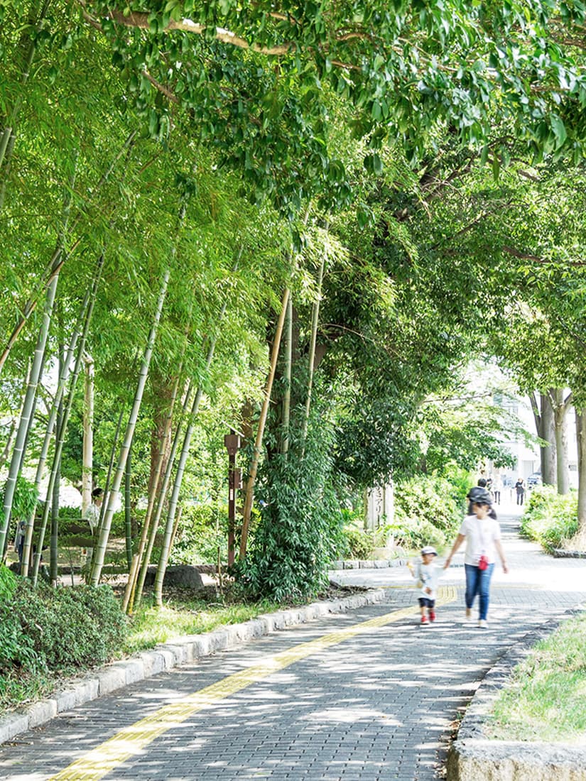 等々力緑地イメージ写真