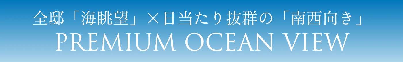 キャンペーン