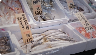 鮮魚