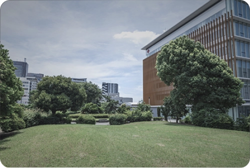 港第二公園