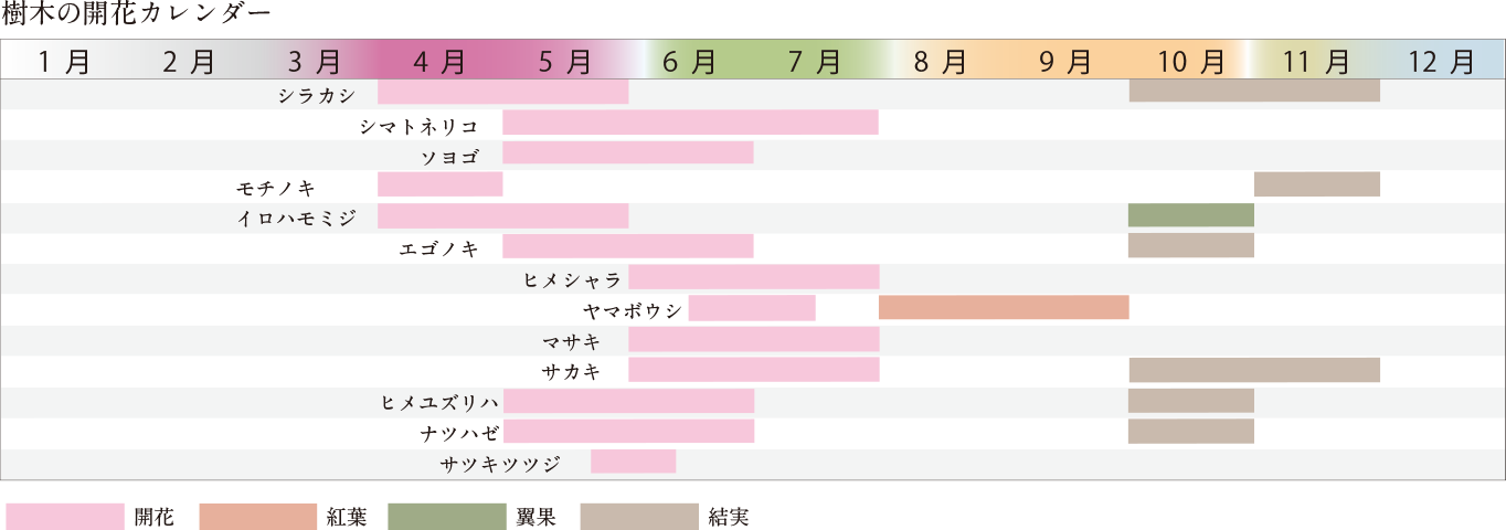 樹木の開花カレンダー