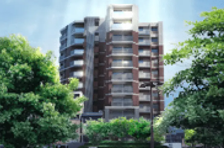 image photo