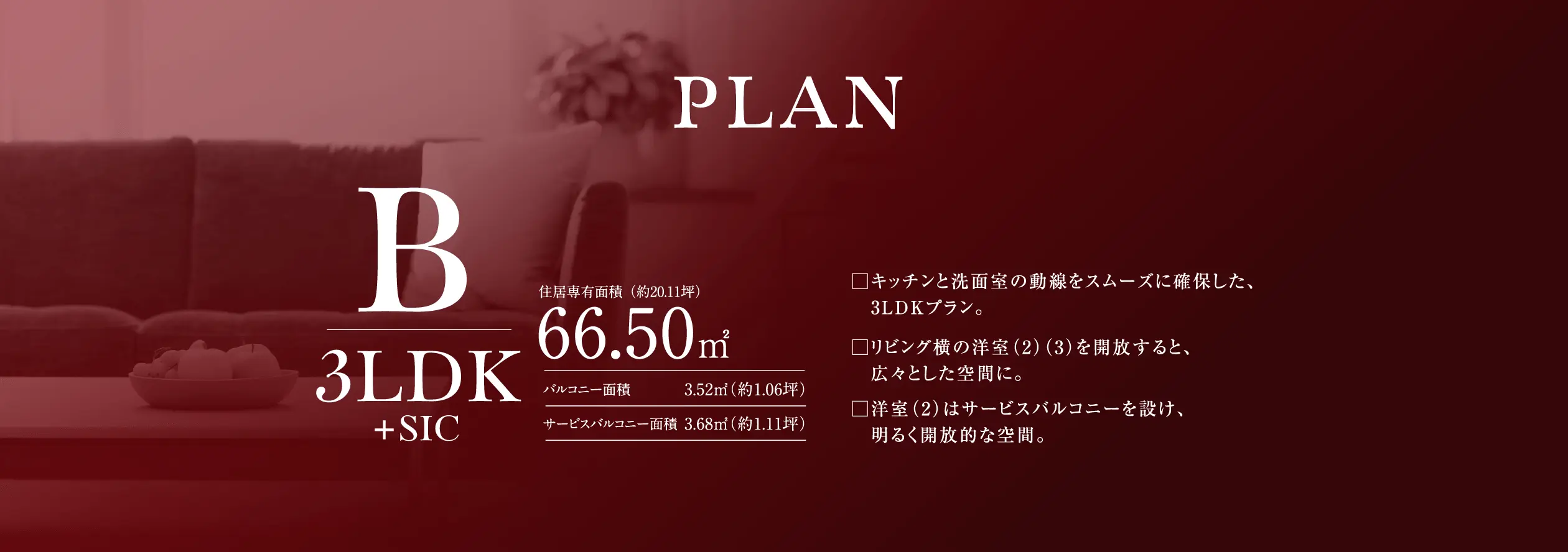 image photo