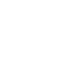 限定サイト