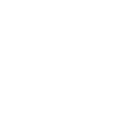 現地案内図