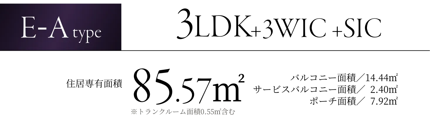E-Atype