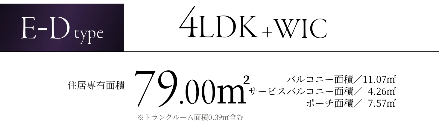 E-Dtype