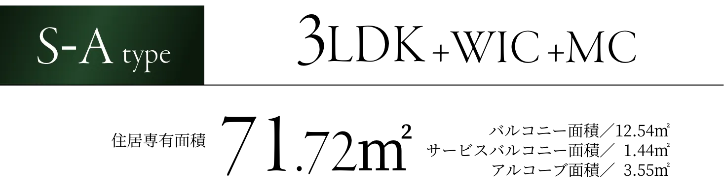 S-Atype
