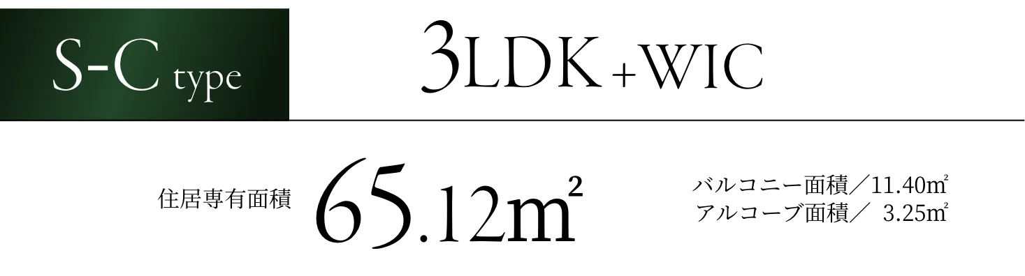 S-Ctype