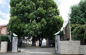 川越幼稚園