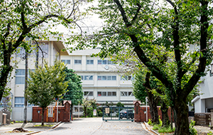川越幼稚園