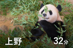 上野 32分