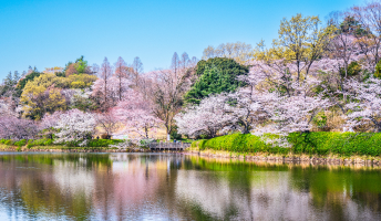 三ツ池公園