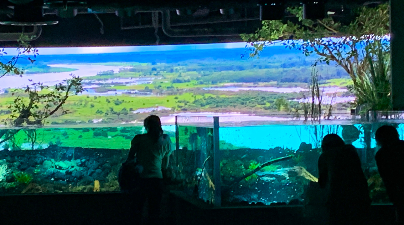 カワスイ川崎水族館 