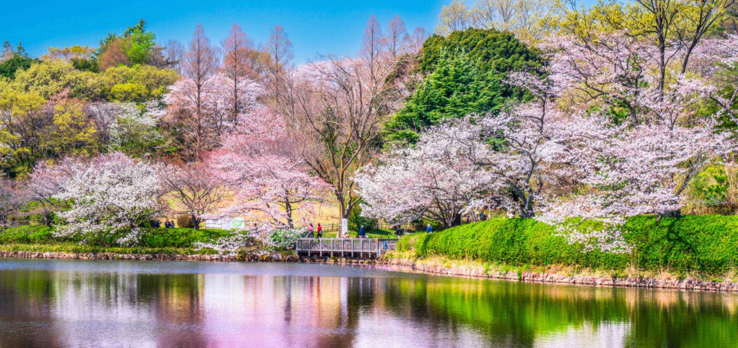 三ツ池公園