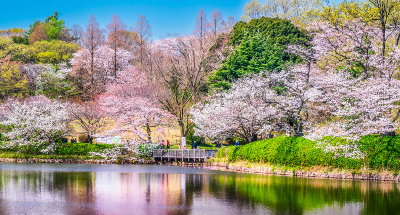 三ツ池公園