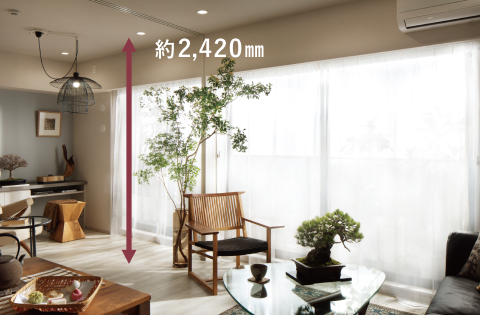 天井高約2,420㎜