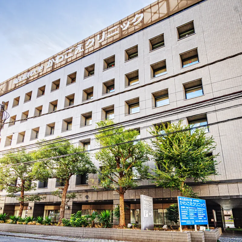 埼玉医科大学かわごえクリニック（約660m・徒歩9分）
