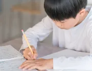 教育と医療のイメージ写真